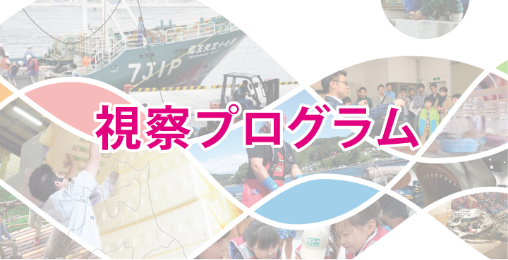 視察プログラム