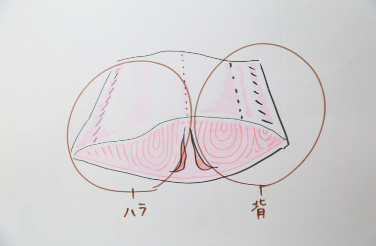 メカジキのどの部位？ 「カマ」「ハラ」「背」