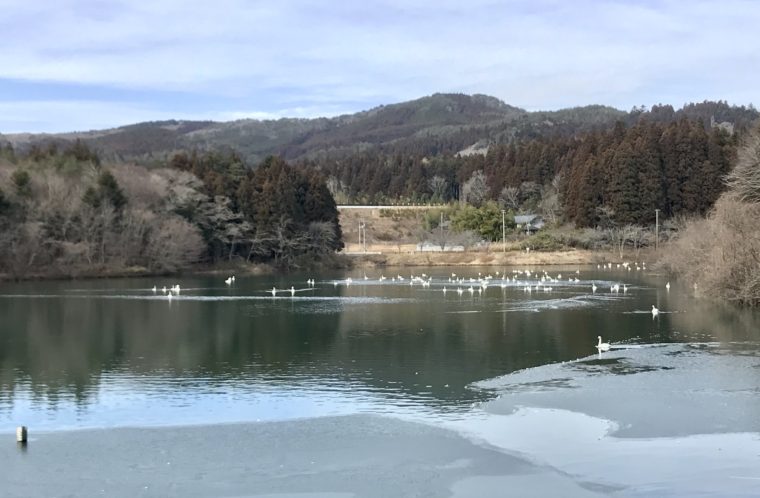 菖蒲沢いこいの広場