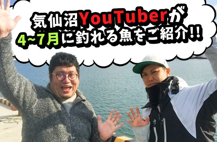 初心者でも釣れるの？気仙沼で4月〜7月に釣れる魚を地元の釣りYouTuberが紹介！！