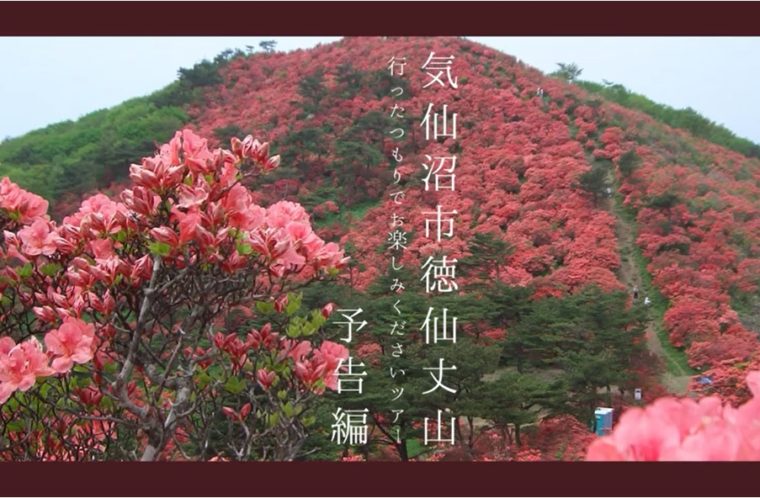 【予告】徳仙丈山行ったつもりでお楽しみくださいツアー