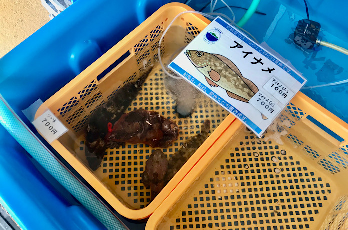 気仙沼大島