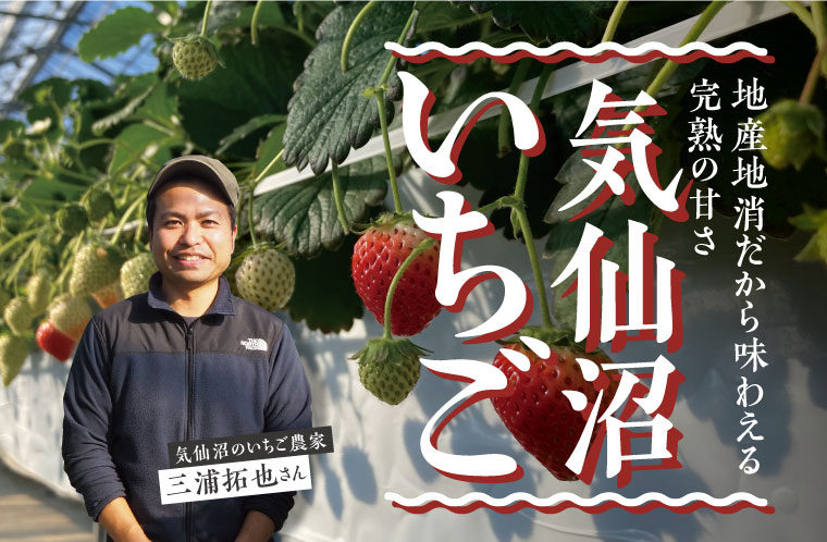 地産地消だから味わえる完熟の甘さ「気仙沼いちご」