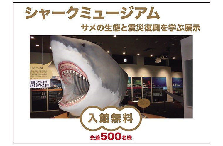 日本で唯一のサメの博物館！