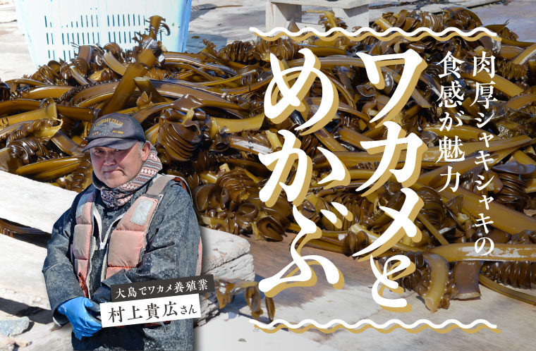 肉厚シャキシャキの食感が魅力「ワカメとめかぶ」