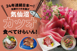 気仙沼に来たらカツオ食べてけらいん！