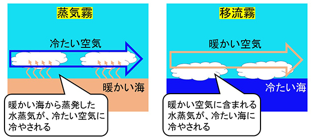 「移流霧」が発生しやすい時期はいつでしょう？