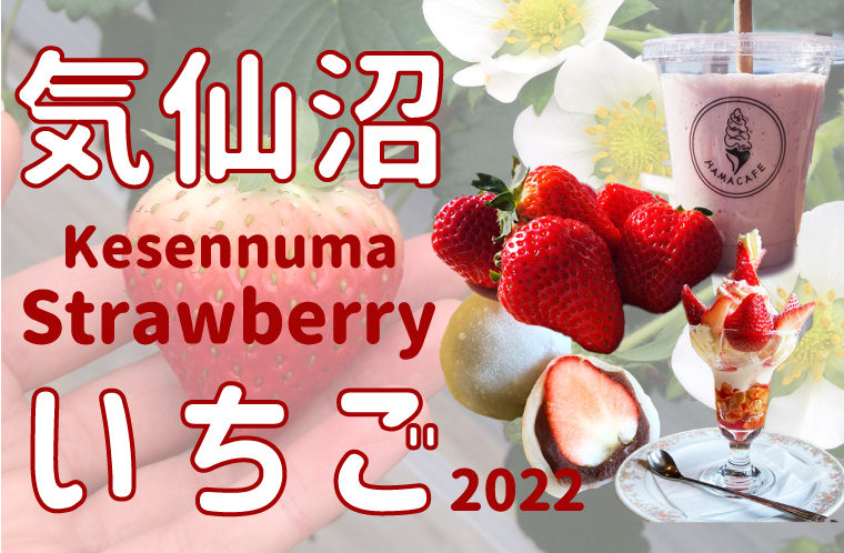 気仙沼いちご特集2022