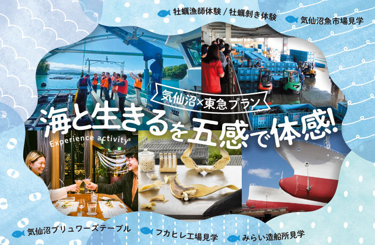 【期間限定価格】海と生きるを五感で体感できる！