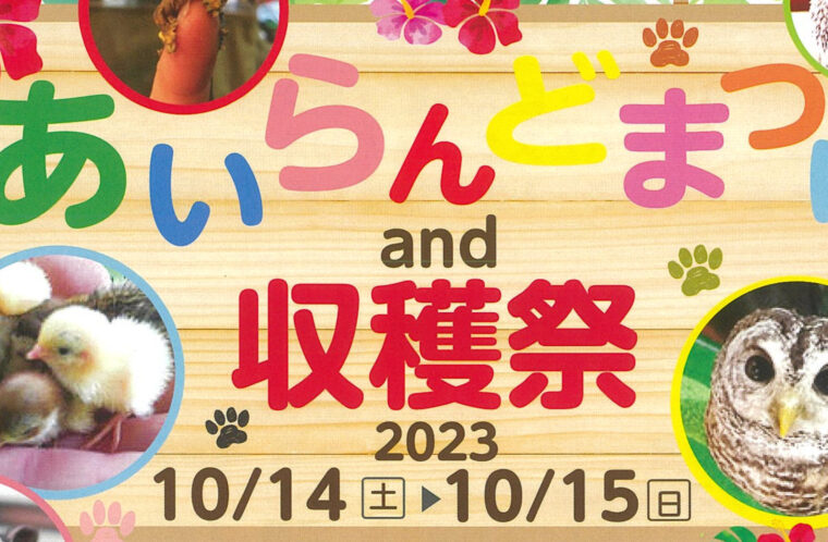 気仙沼大島 あいらんどまつり and 収穫祭 2023