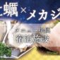 「牡蠣」「メカ」メニュー提供宿泊施設