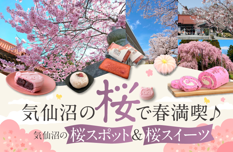 気仙沼の桜で春満喫♪
