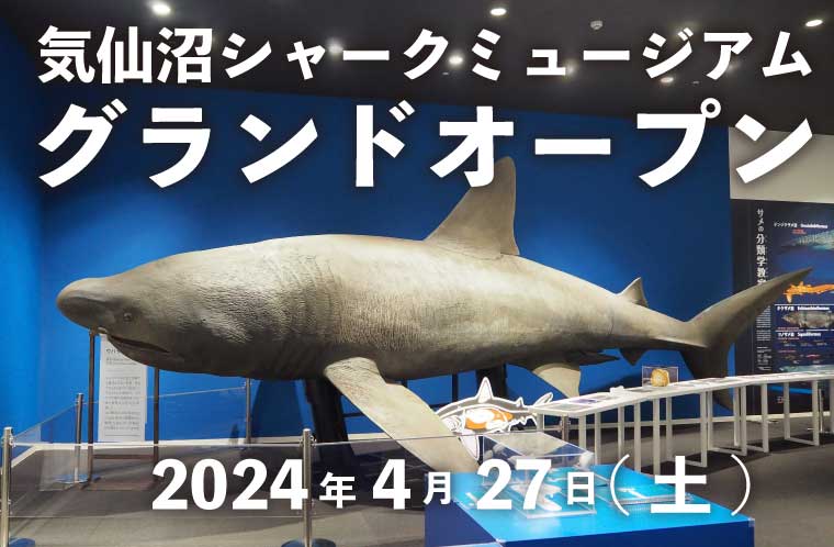 気仙沼シャークミュージアム　グランドオープン