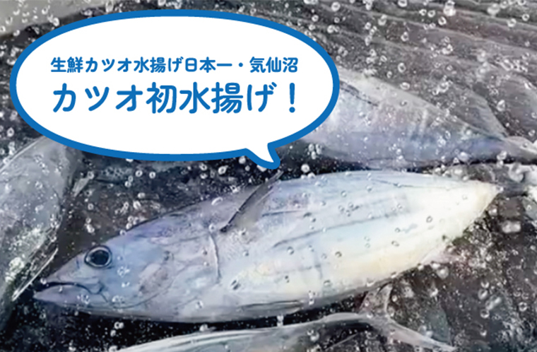 2024年カツオが初水揚げされました！